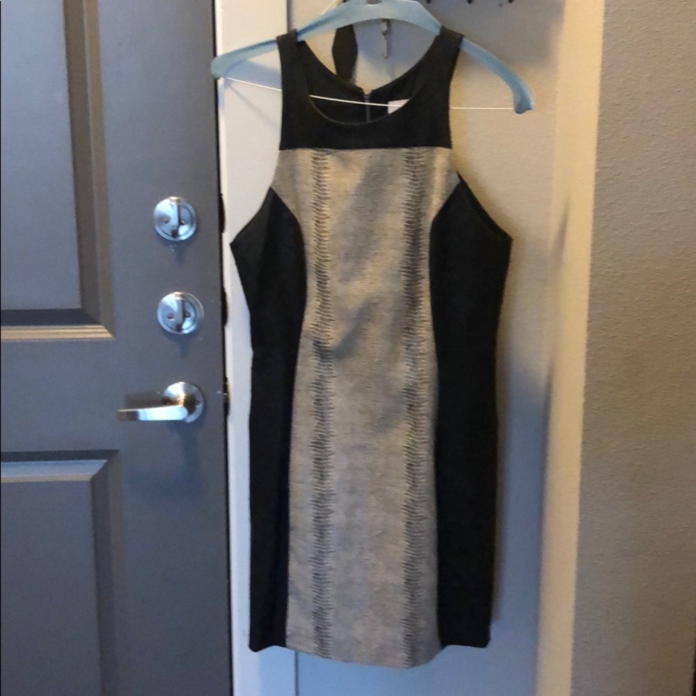 Dolce Vida Leather Dress